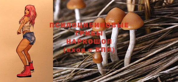 дживик Аркадак