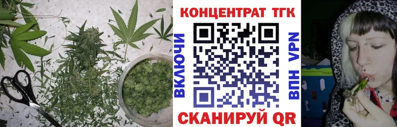 omg ONION  Терек  ТГК гашишное масло  наркошоп 