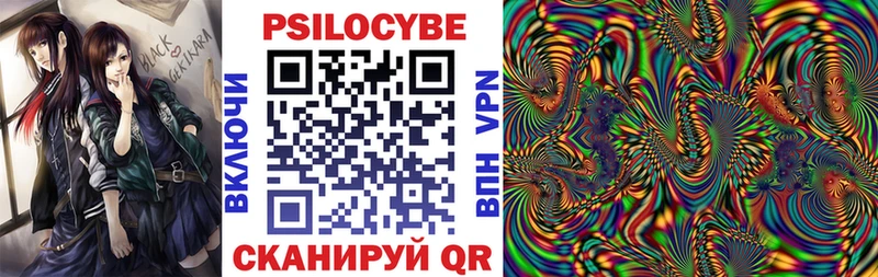 как найти Терек Галлюциногенные грибы Magic Shrooms